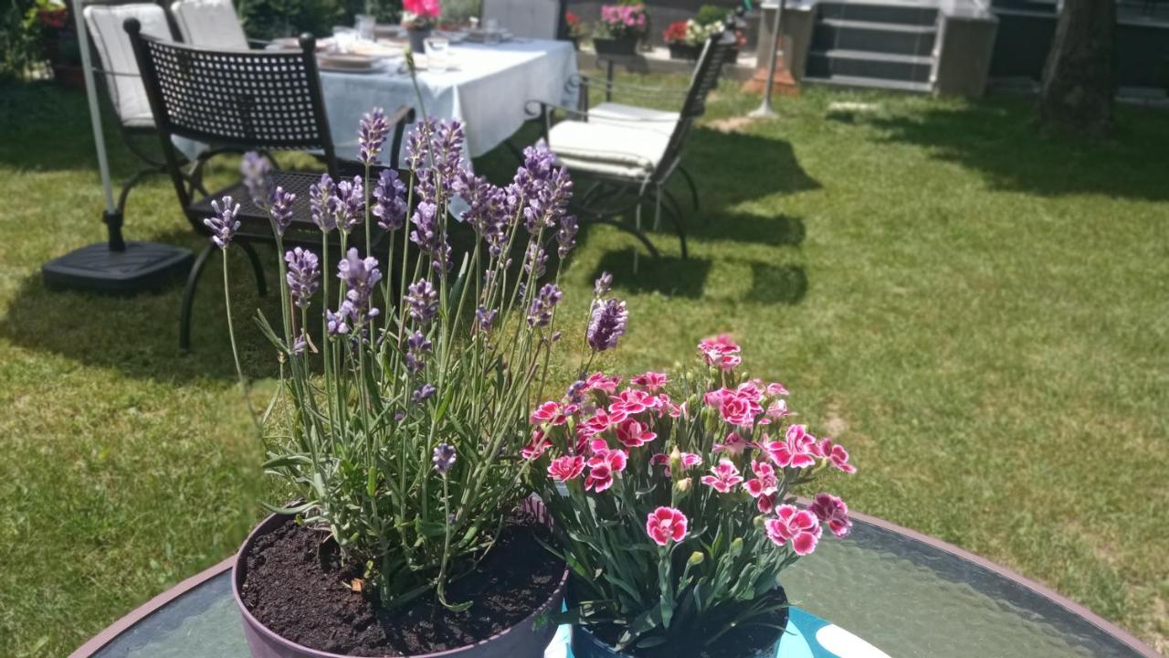 Art Inn Apartmanhaz Balaton-Gyenesdiás Eksteriør billede